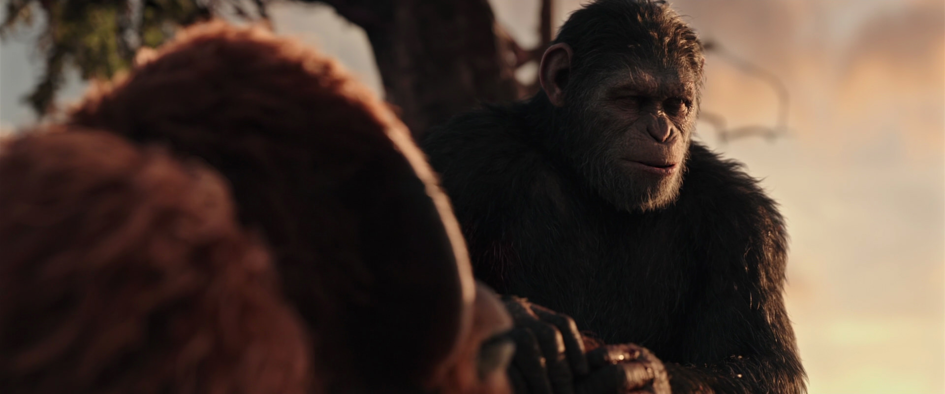 War for the Planet of the Apes (2017) HD screenshot 15335