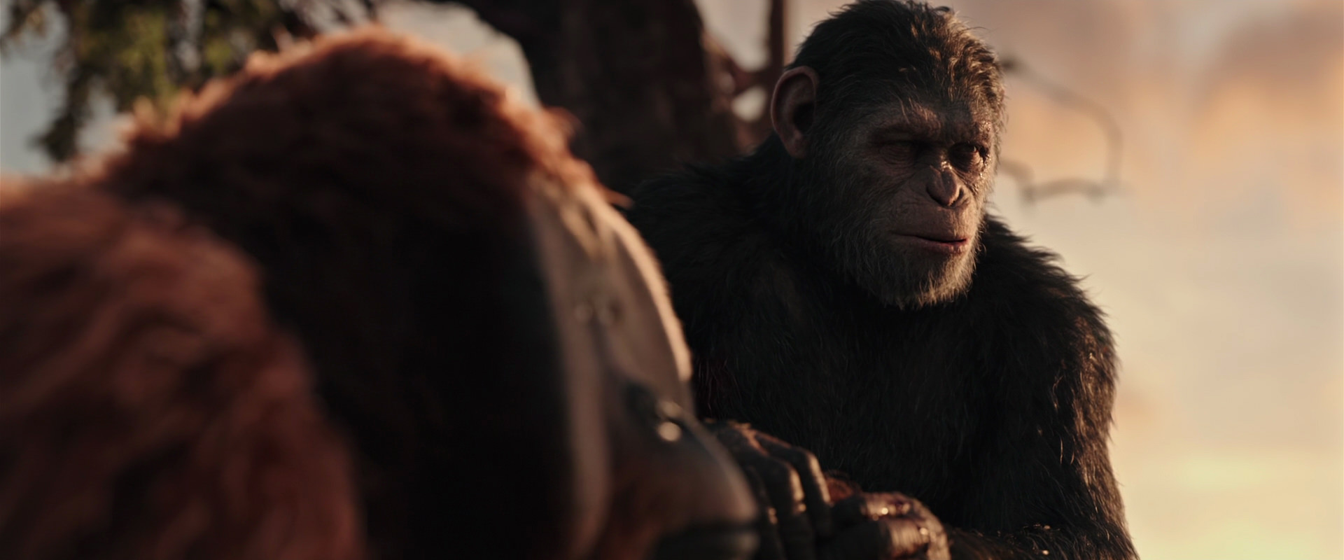 War for the Planet of the Apes (2017) movie still 15337