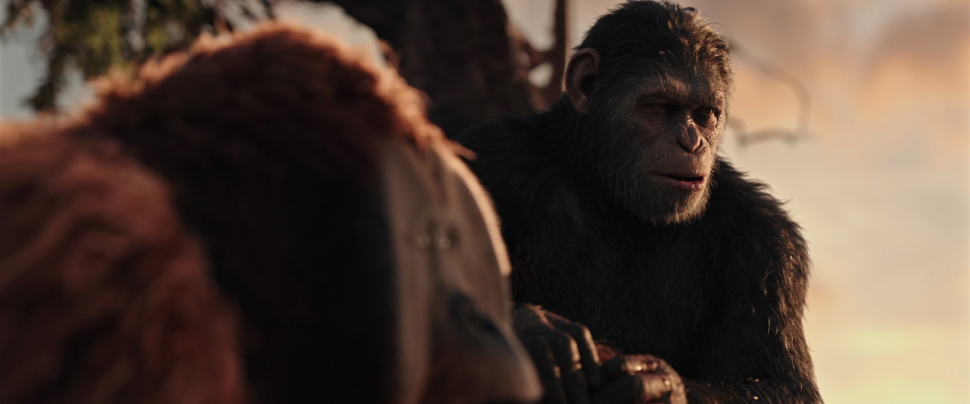 War for the Planet of the Apes (2017) HD screenshot 15338