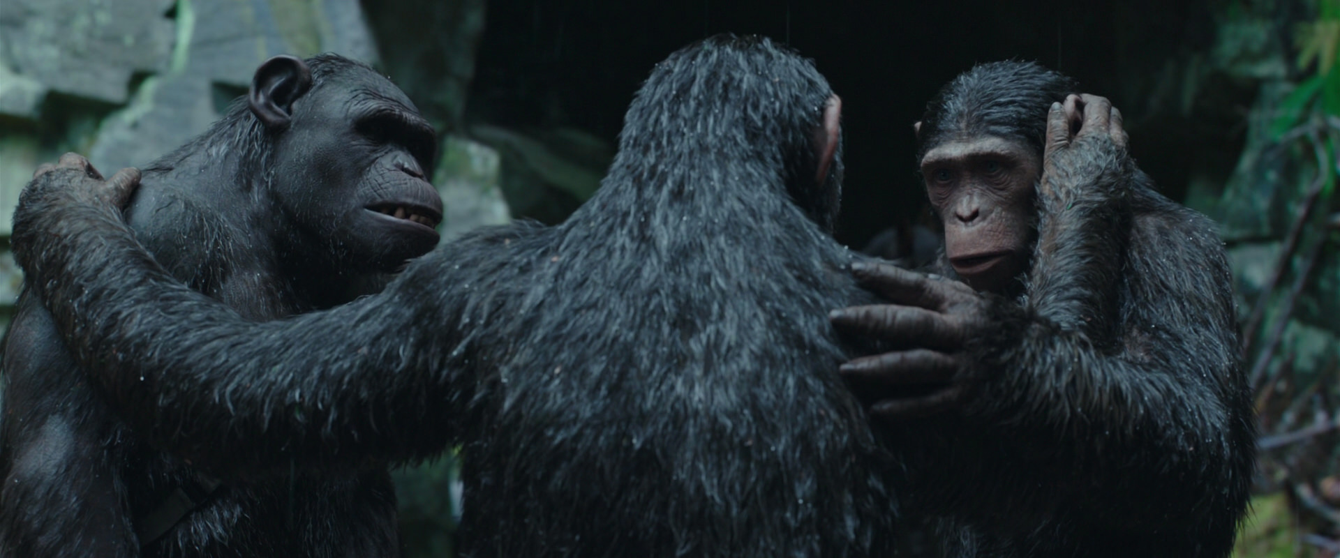 War for the Planet of the Apes (2017) movie still 1534