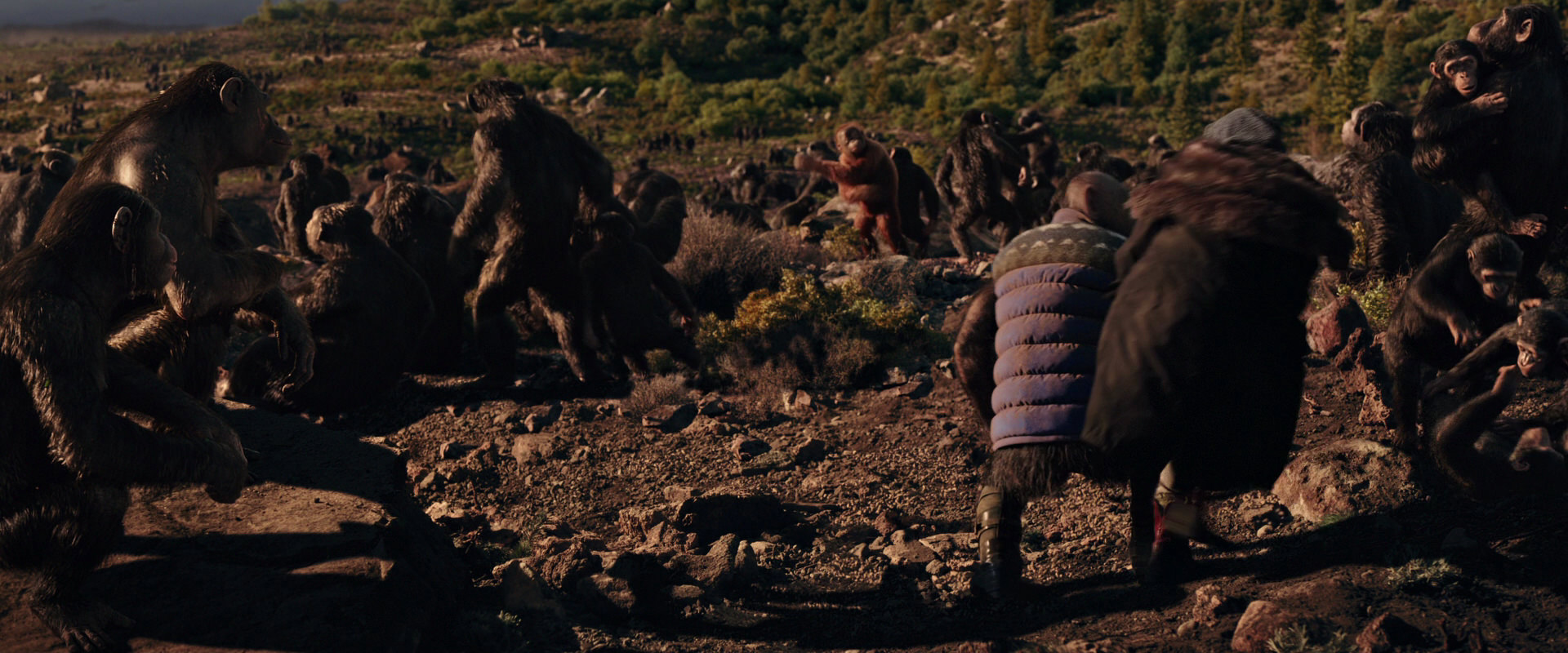 War for the Planet of the Apes (2017) HD screenshot 15341