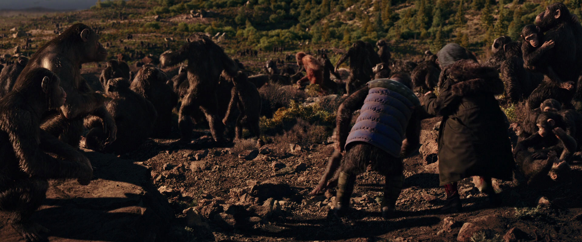 War for the Planet of the Apes (2017) screencap 15342