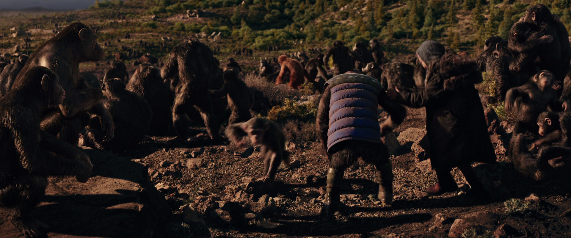 War for the Planet of the Apes (2017) movie still 15343