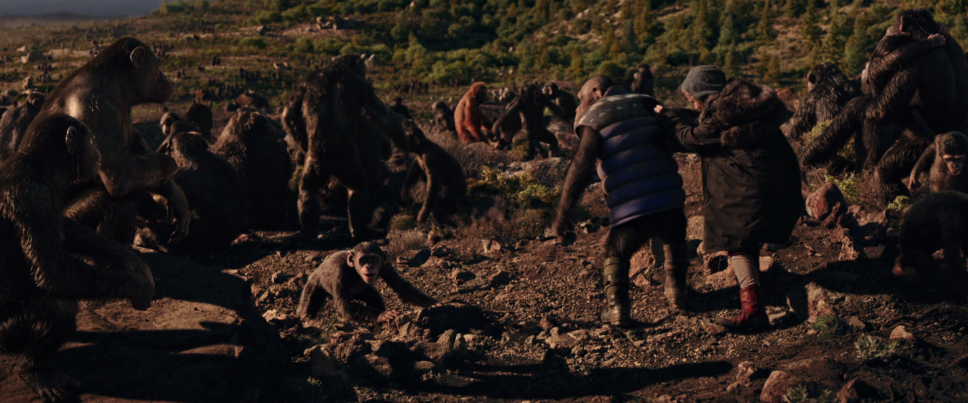 War for the Planet of the Apes (2017) screencap 15345