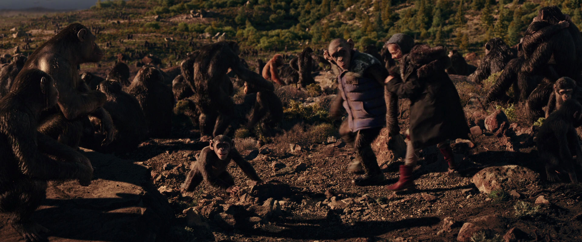 War for the Planet of the Apes (2017) movie still 15346