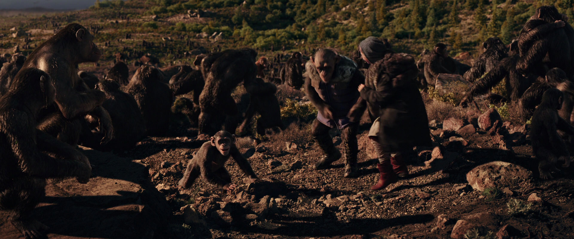 War for the Planet of the Apes (2017) HD screenshot 15347