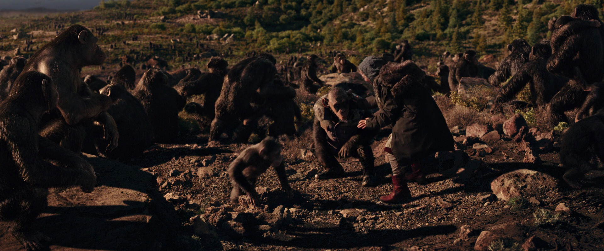 War for the Planet of the Apes (2017) screencap 15348