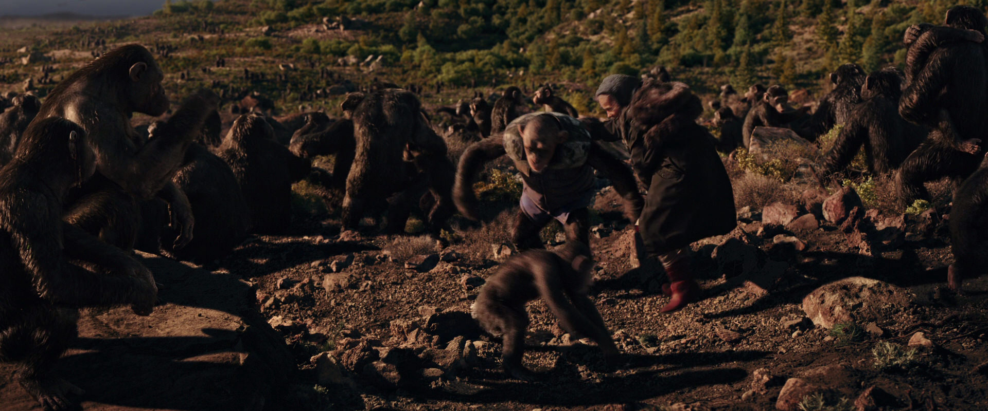 War for the Planet of the Apes (2017) movie still 15349