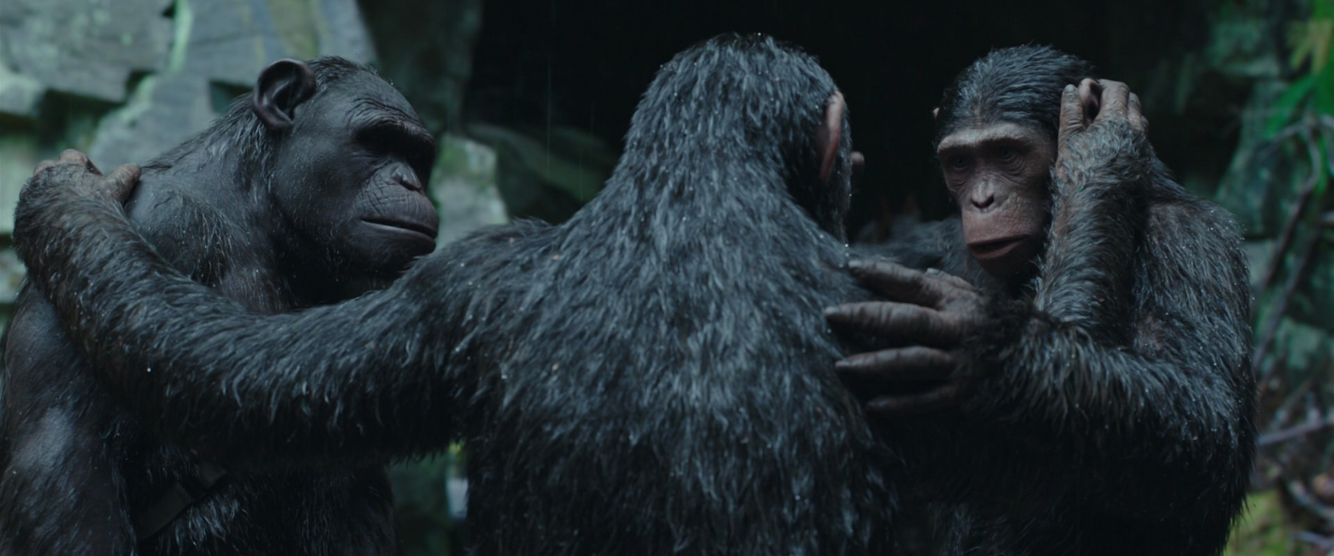 War for the Planet of the Apes (2017) HD screenshot 1535