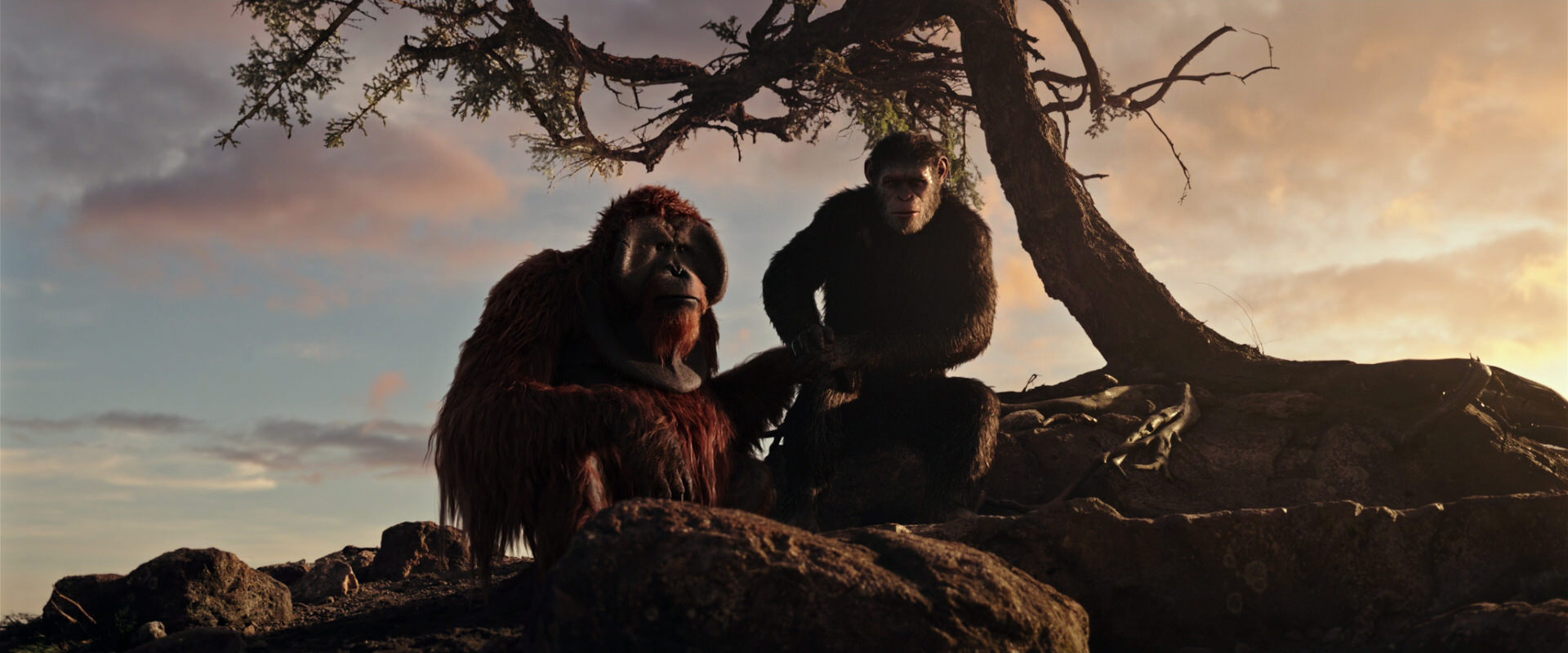 War for the Planet of the Apes (2017) screencap 15351