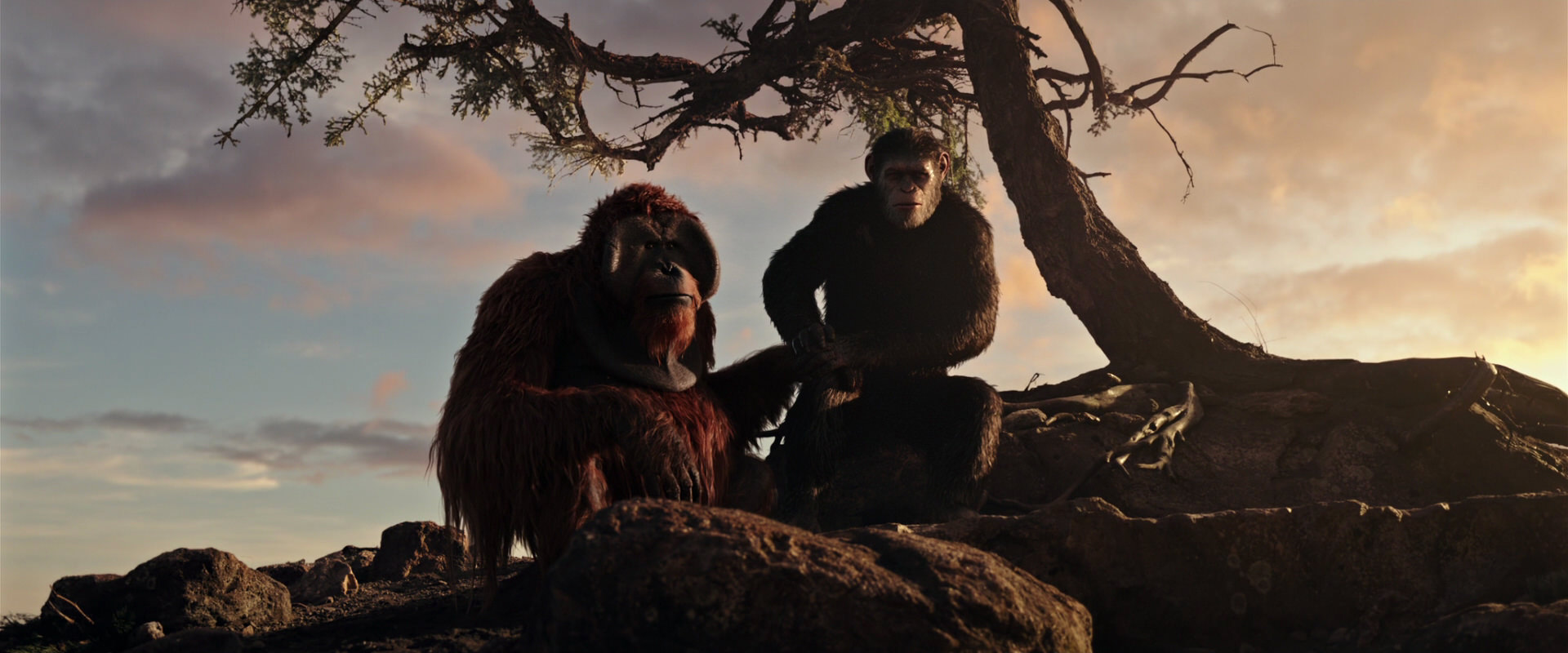 War for the Planet of the Apes (2017) HD screenshot 15353