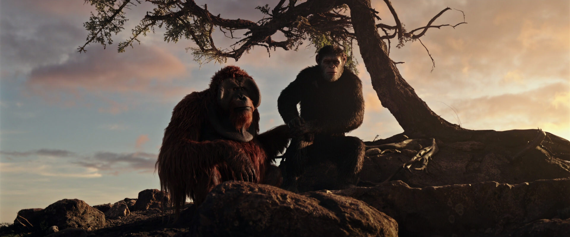 War for the Planet of the Apes (2017) movie still 15355