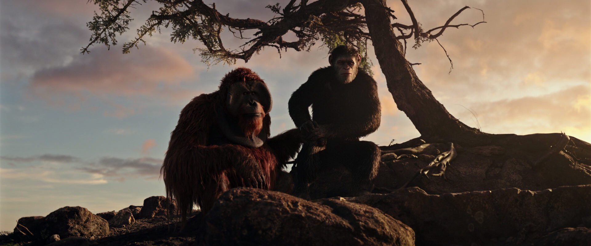War for the Planet of the Apes (2017) movie still 15358