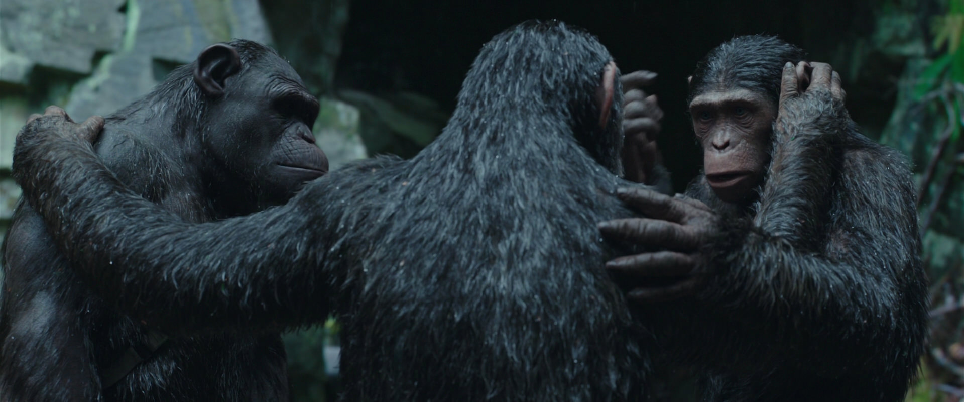 War for the Planet of the Apes (2017) screencap 1536