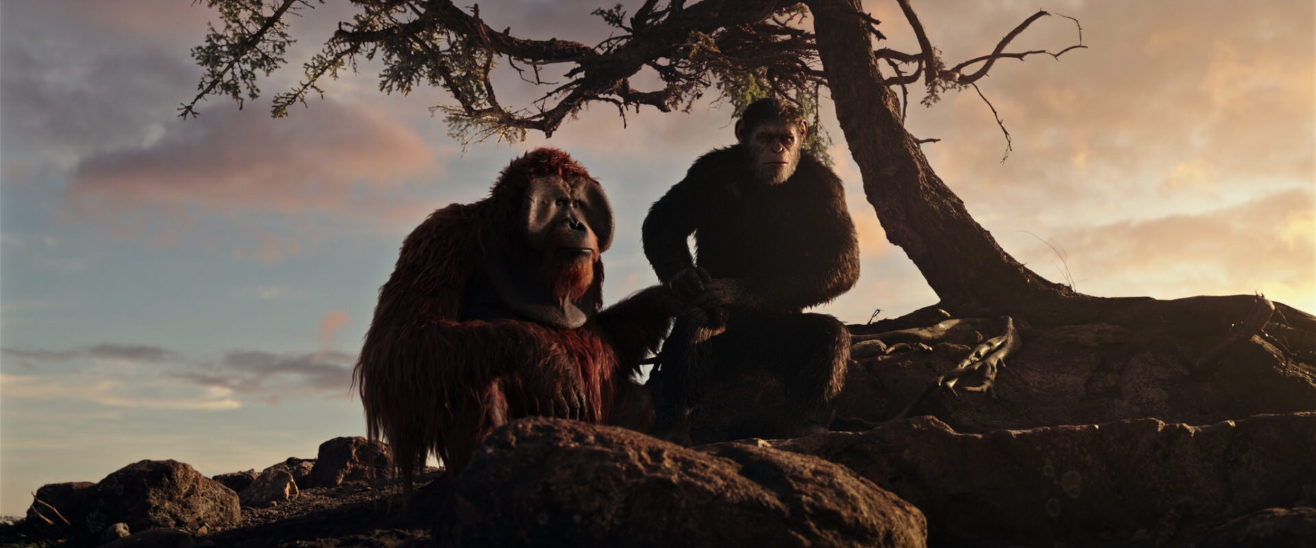 War for the Planet of the Apes (2017) movie still 15361