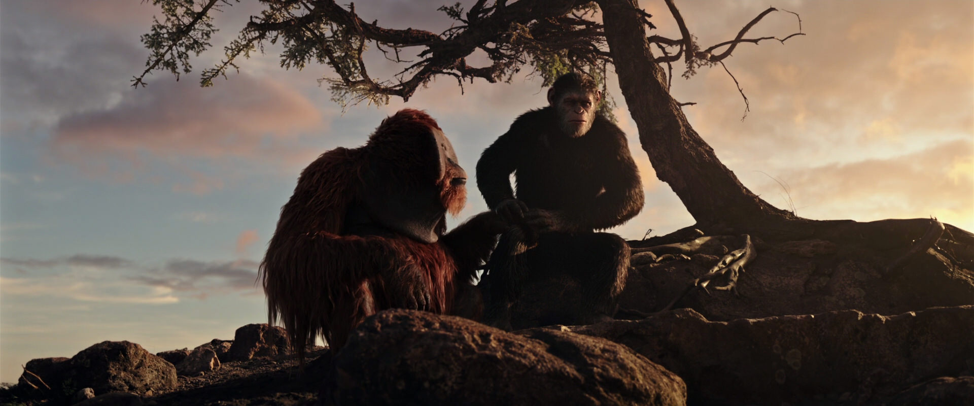 War for the Planet of the Apes (2017) HD screenshot 15362