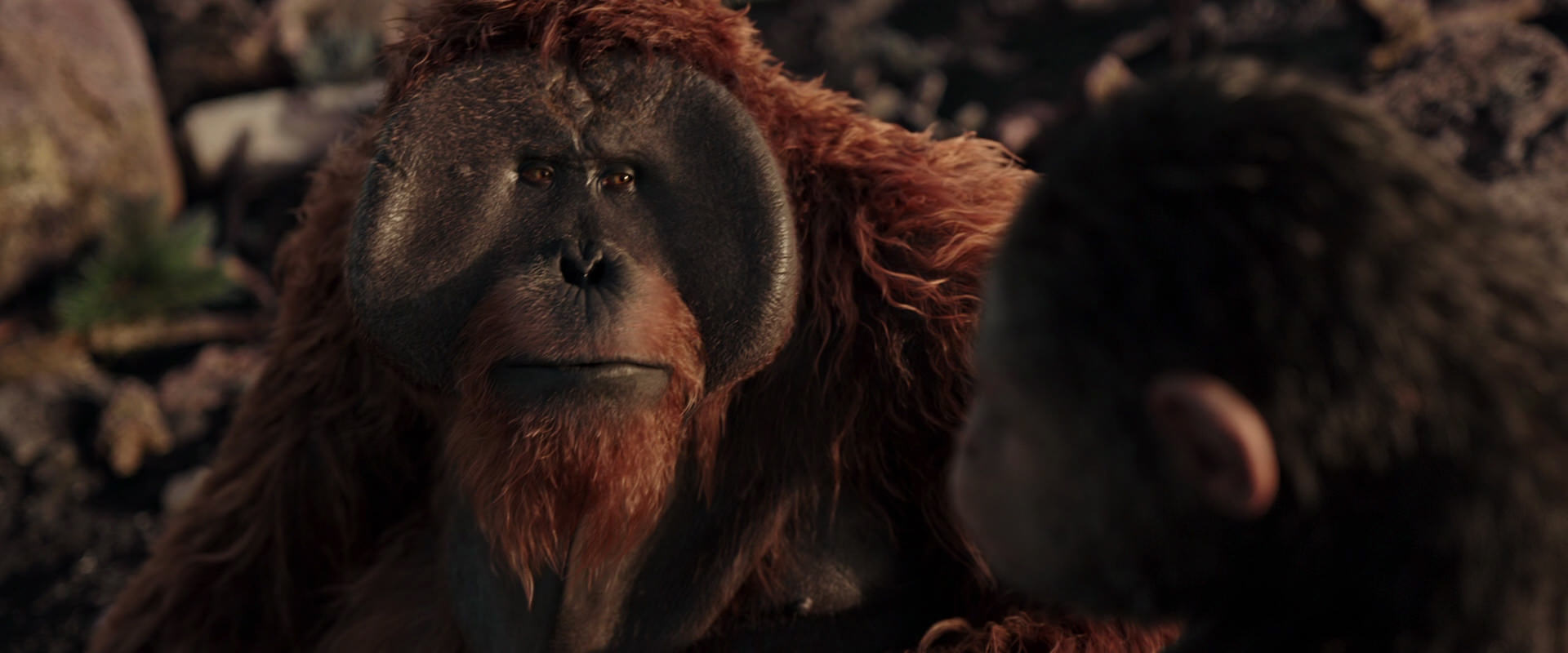 War for the Planet of the Apes (2017) movie still 15364