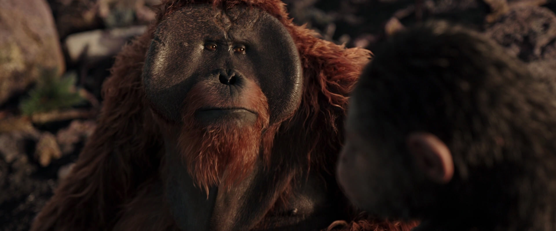 War for the Planet of the Apes (2017) HD screenshot 15365