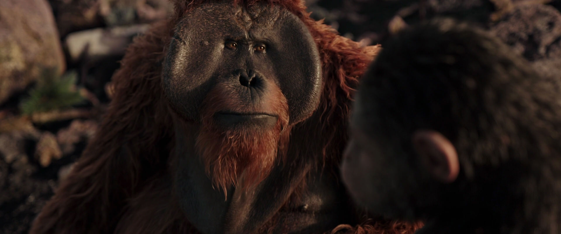War for the Planet of the Apes (2017) screencap 15366