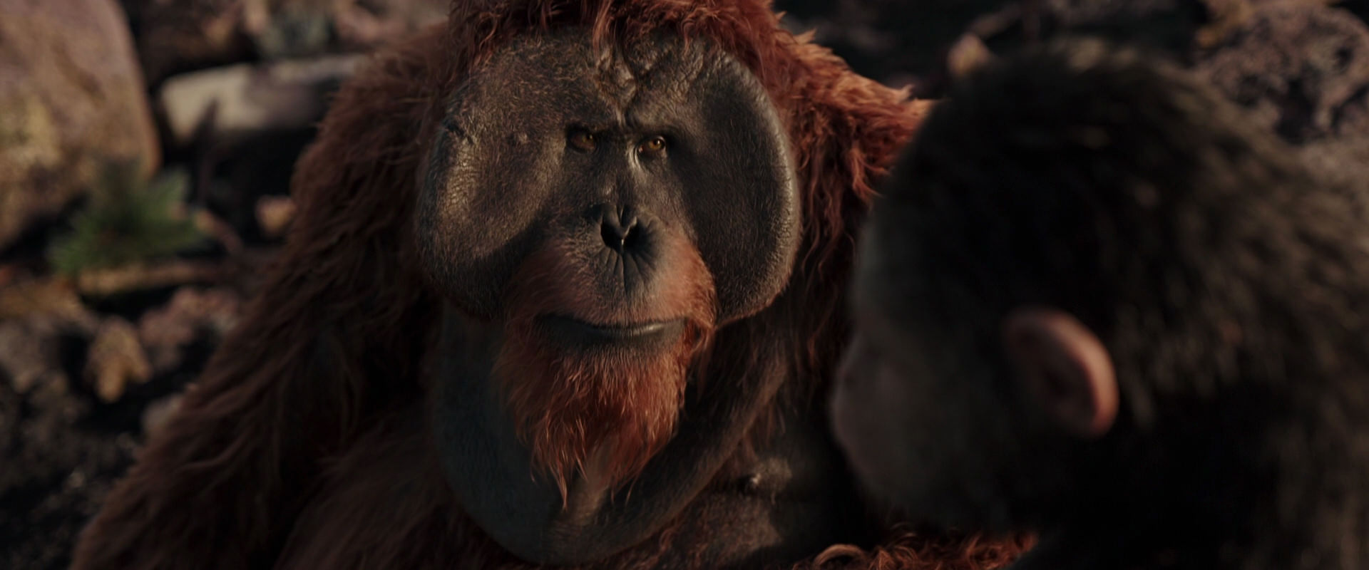 War for the Planet of the Apes (2017) movie still 15367