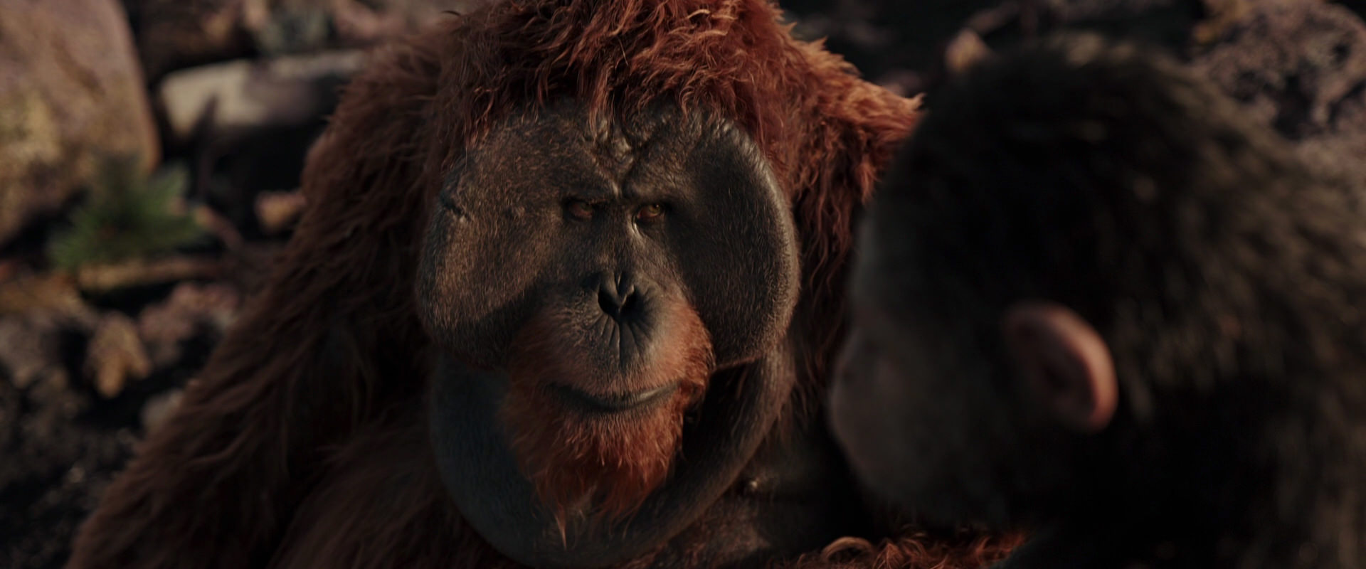War for the Planet of the Apes (2017) HD screenshot 15368