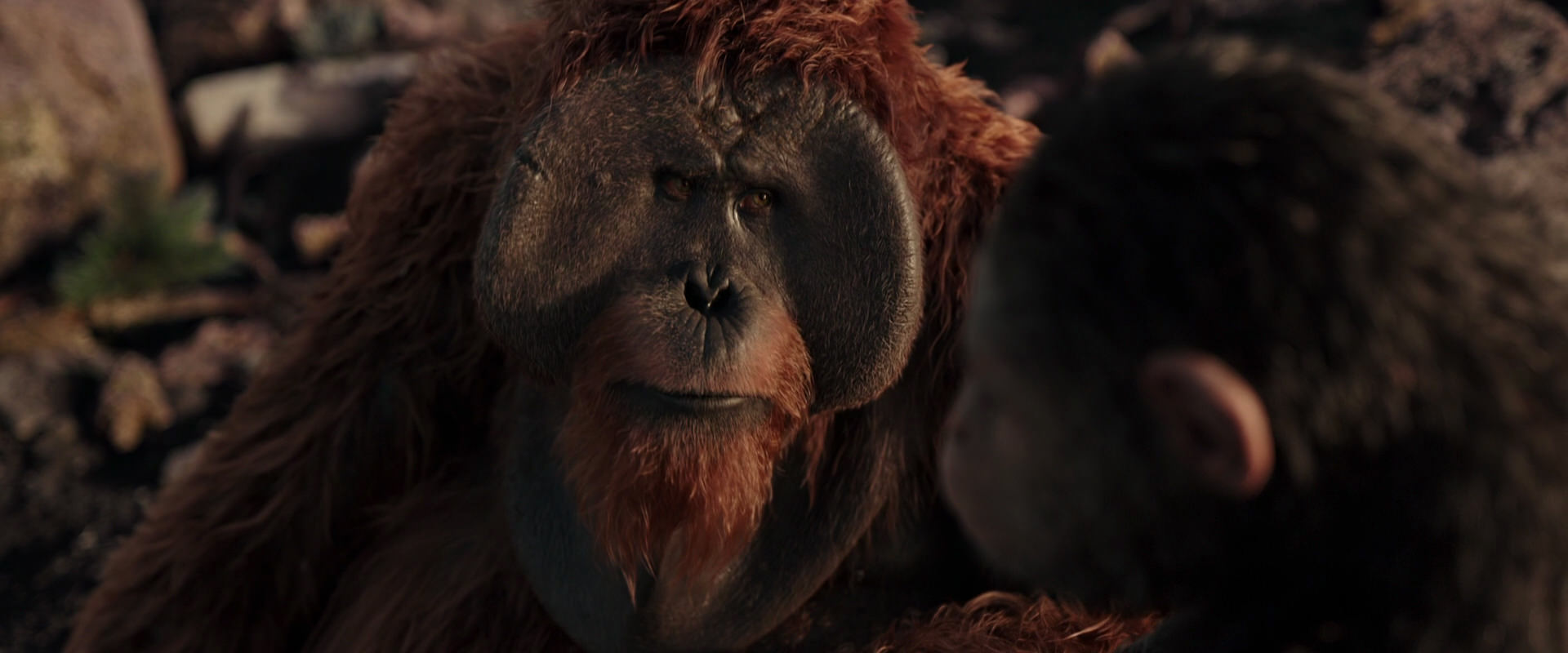 War for the Planet of the Apes (2017) screencap 15369