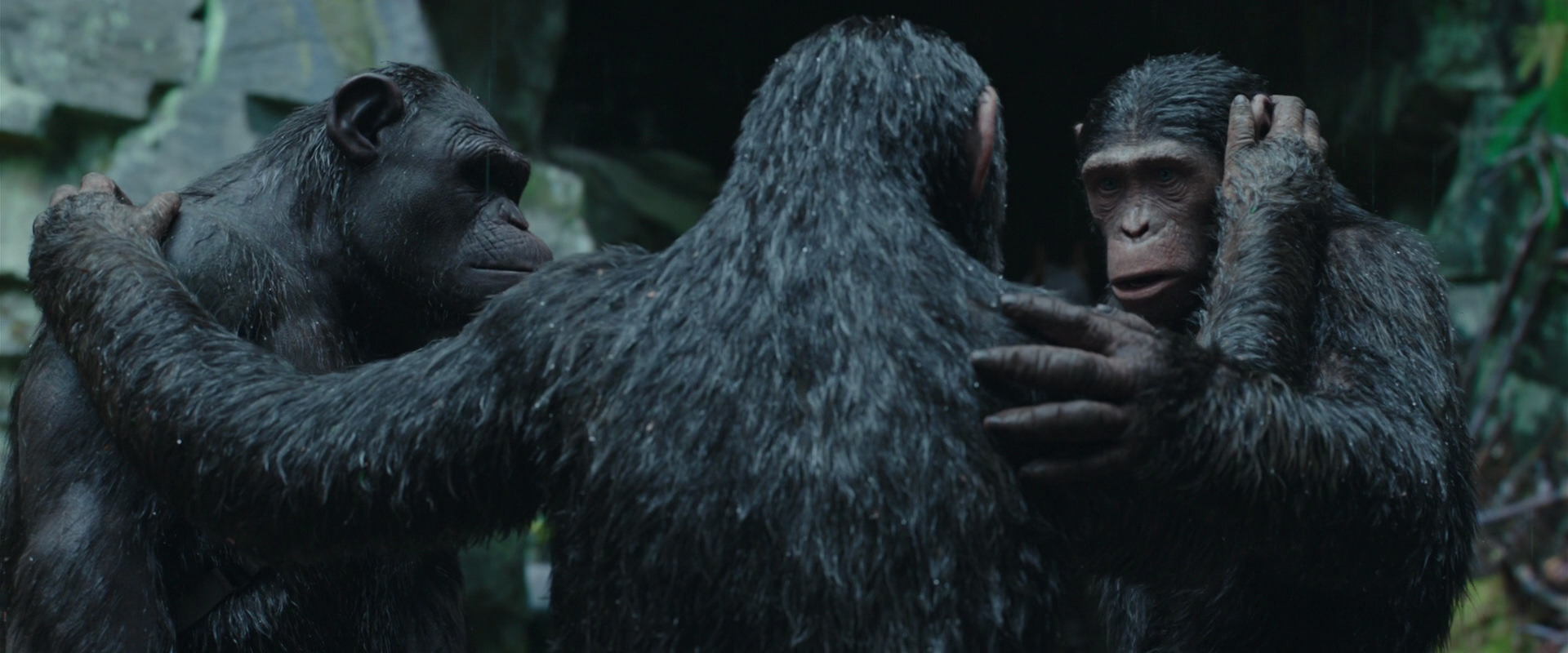 War for the Planet of the Apes (2017) movie still 1537