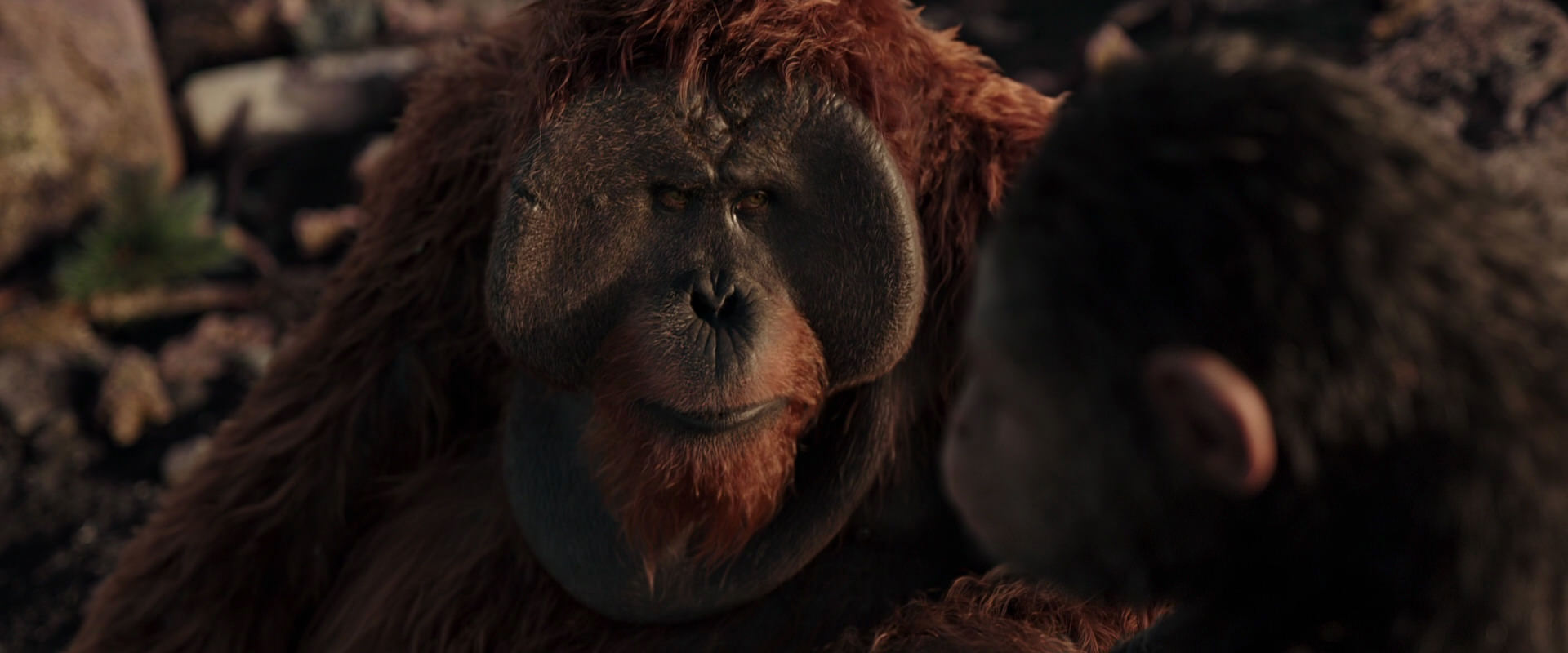 War for the Planet of the Apes (2017) movie still 15370