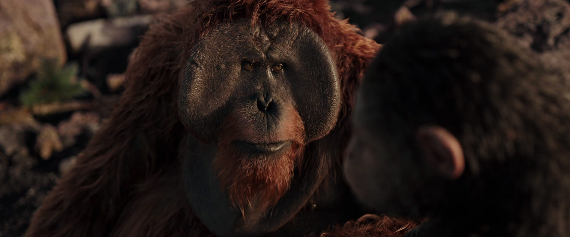 War for the Planet of the Apes (2017) HD screenshot 15371