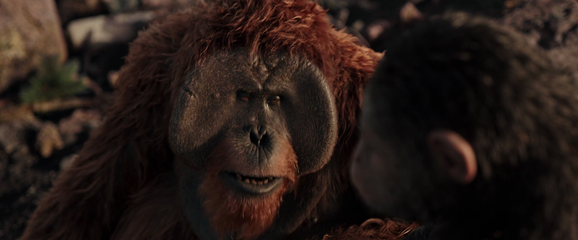 War for the Planet of the Apes (2017) movie still 15373