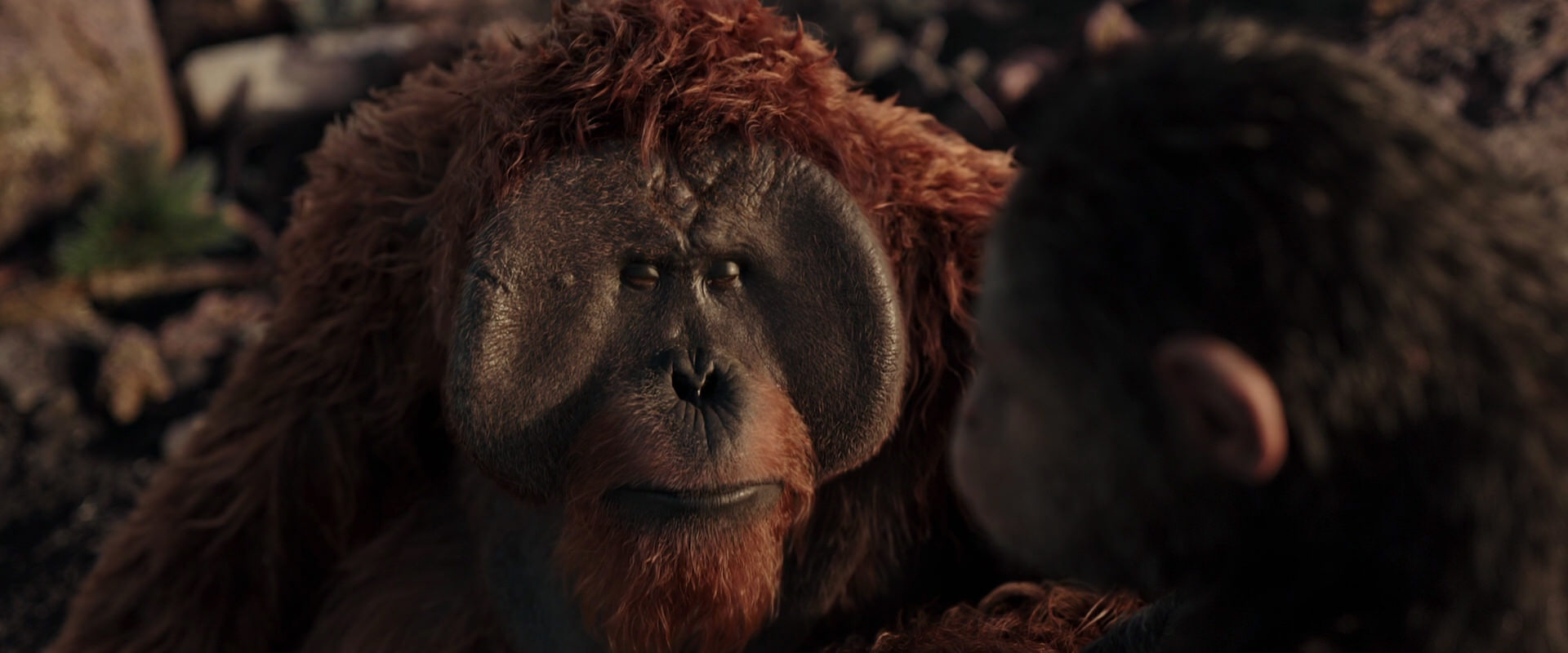 War for the Planet of the Apes (2017) HD screenshot 15374