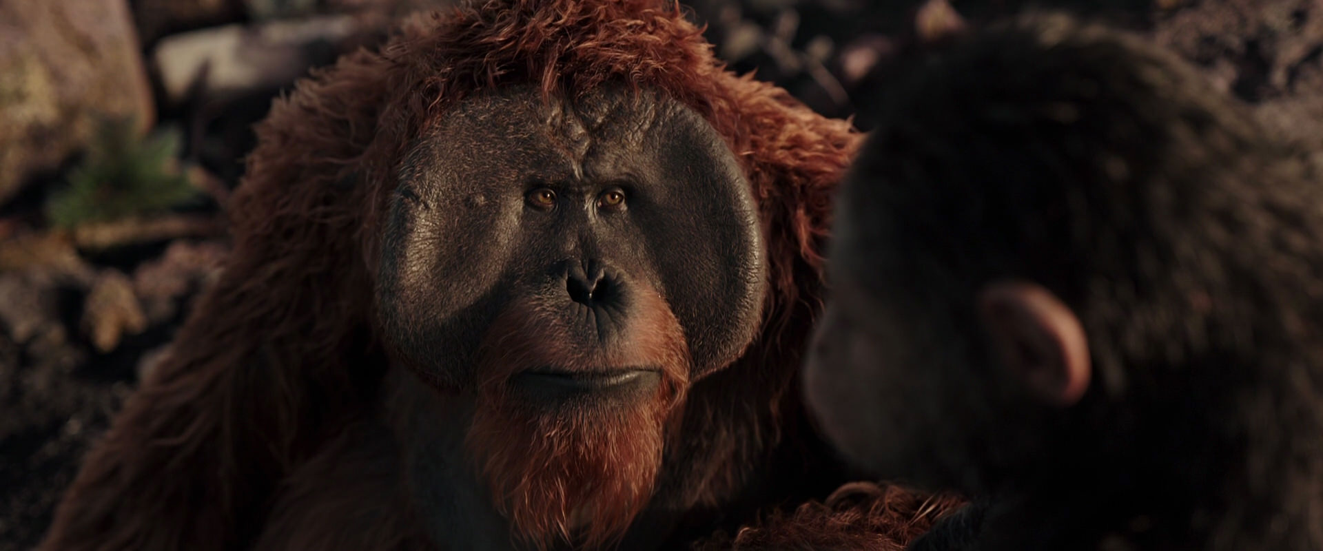War for the Planet of the Apes (2017) screencap 15375
