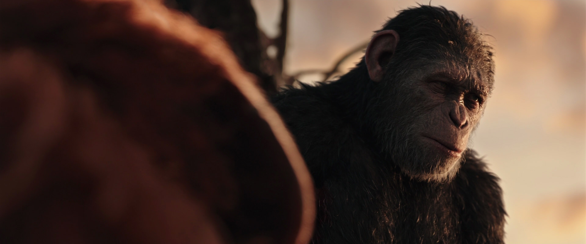 War for the Planet of the Apes (2017) movie still 15376