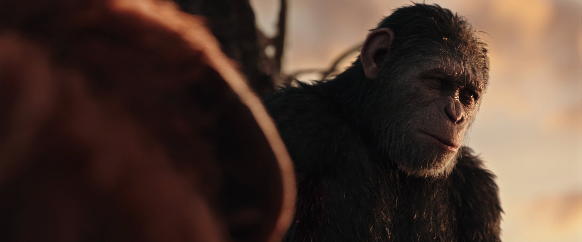 War for the Planet of the Apes (2017) HD screenshot 15377