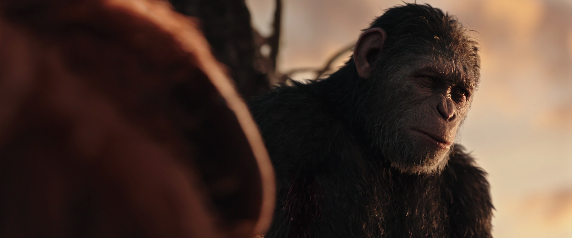 War for the Planet of the Apes (2017) screencap 15378