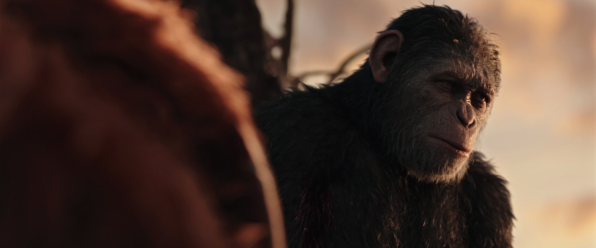 War for the Planet of the Apes (2017) movie still 15379