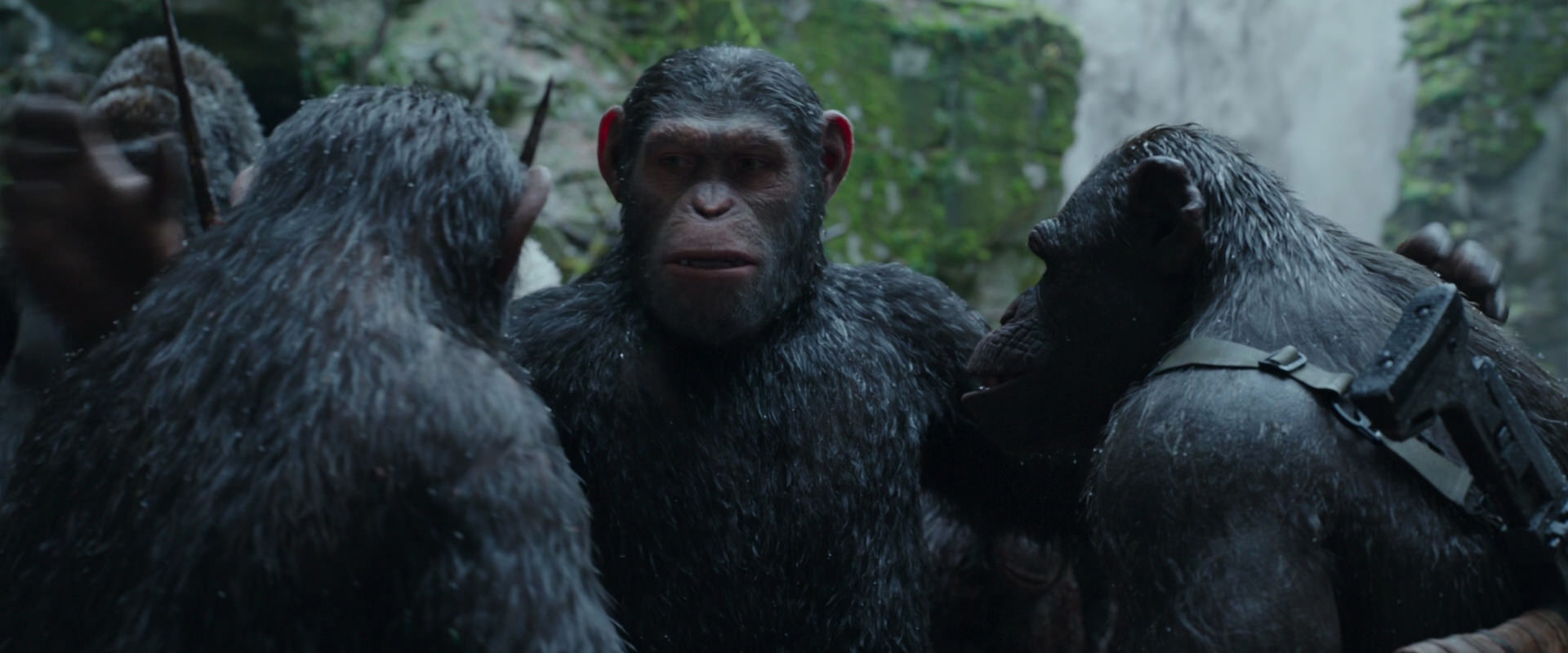 War for the Planet of the Apes (2017) HD screenshot 1538
