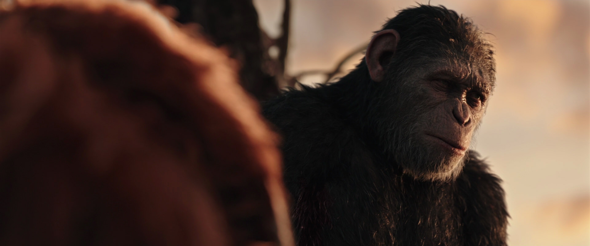 War for the Planet of the Apes (2017) HD screenshot 15380