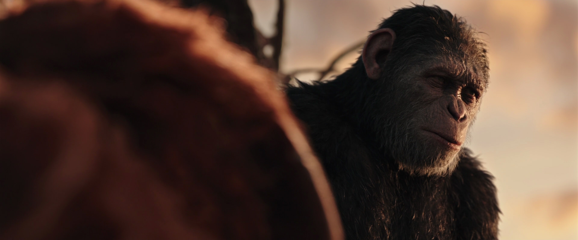 War for the Planet of the Apes (2017) HD screenshot 15383