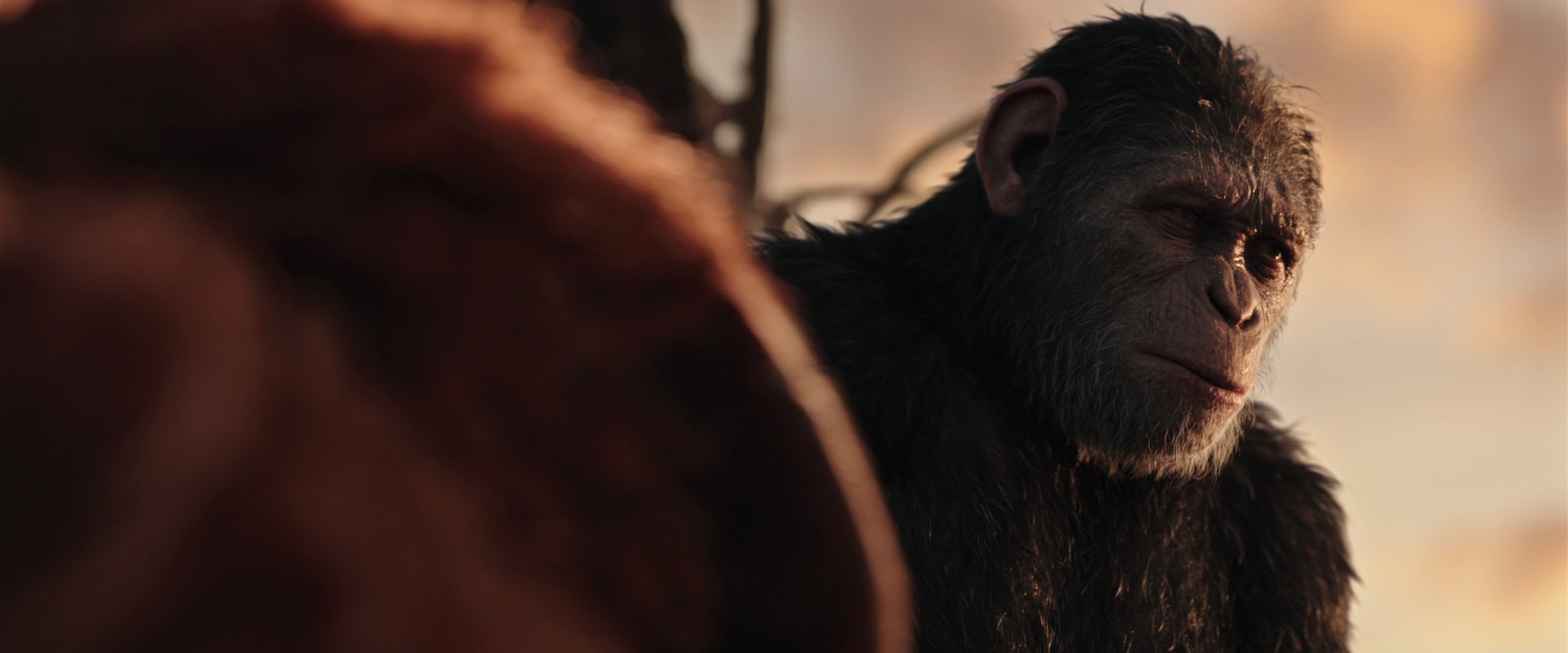 War for the Planet of the Apes (2017) screencap 15384