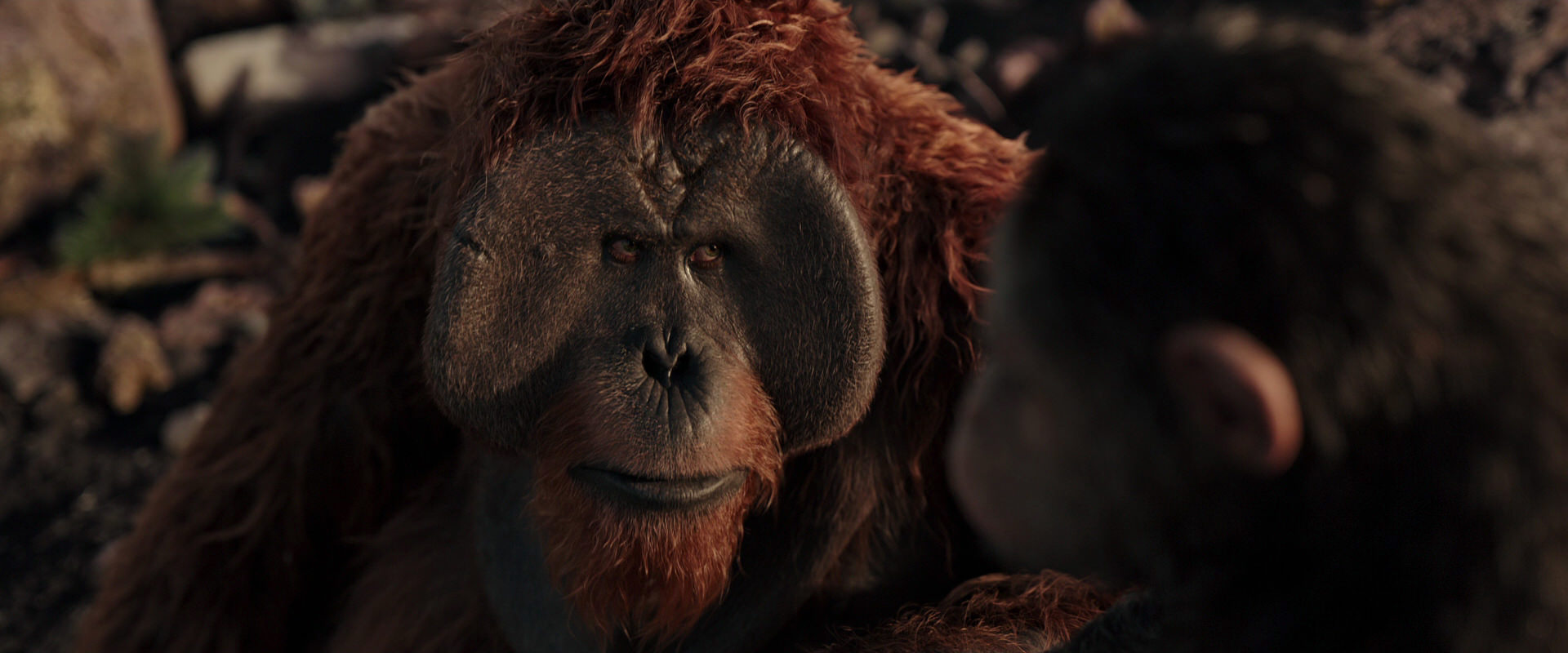 War for the Planet of the Apes (2017) HD screenshot 15386
