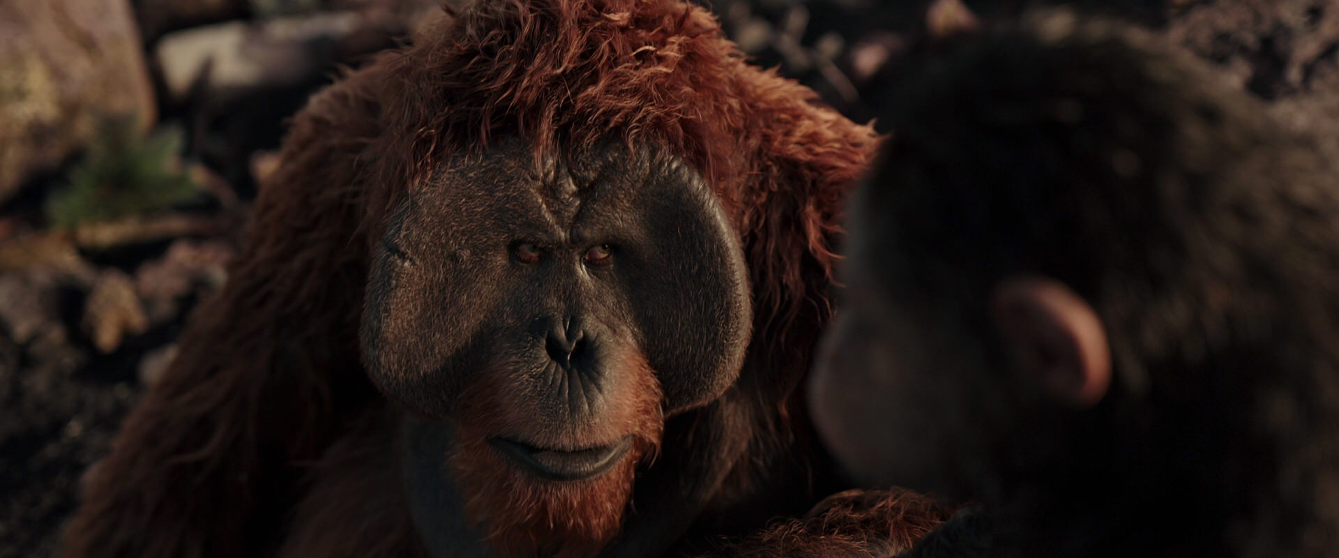 War for the Planet of the Apes (2017) screencap 15387
