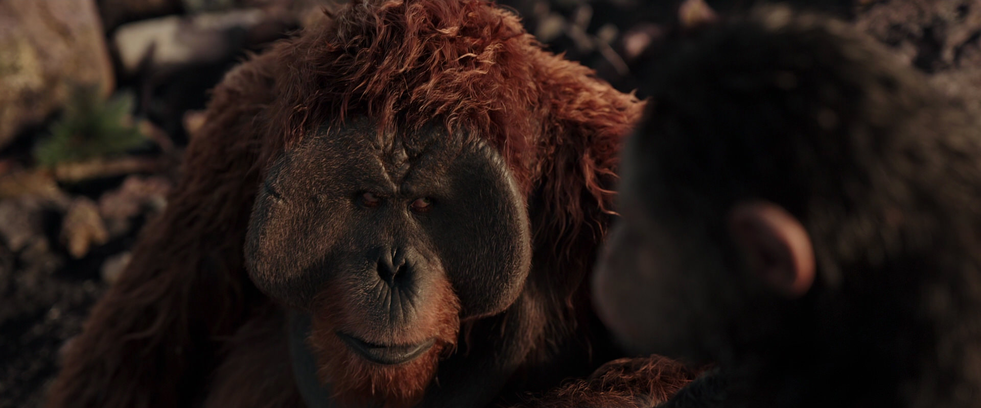 War for the Planet of the Apes (2017) movie still 15388