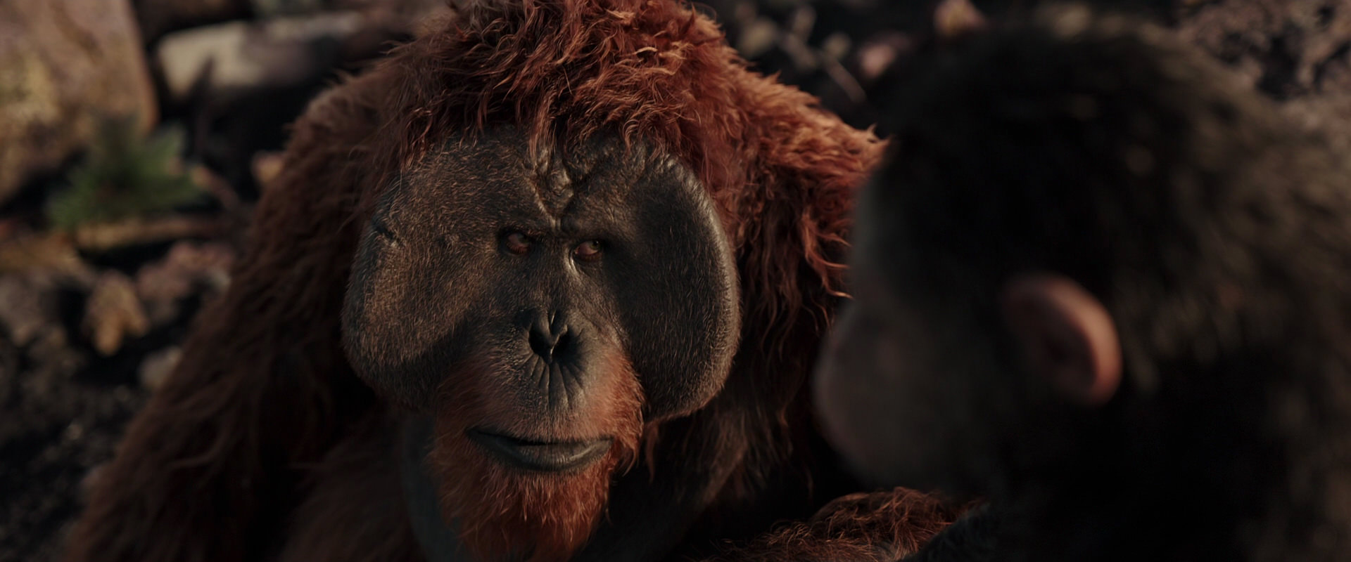 War for the Planet of the Apes (2017) HD screenshot 15389