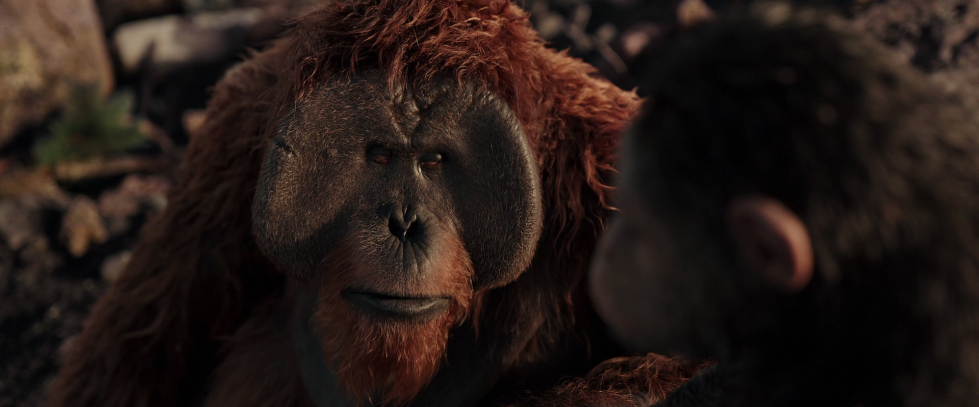 War for the Planet of the Apes (2017) screencap 15390