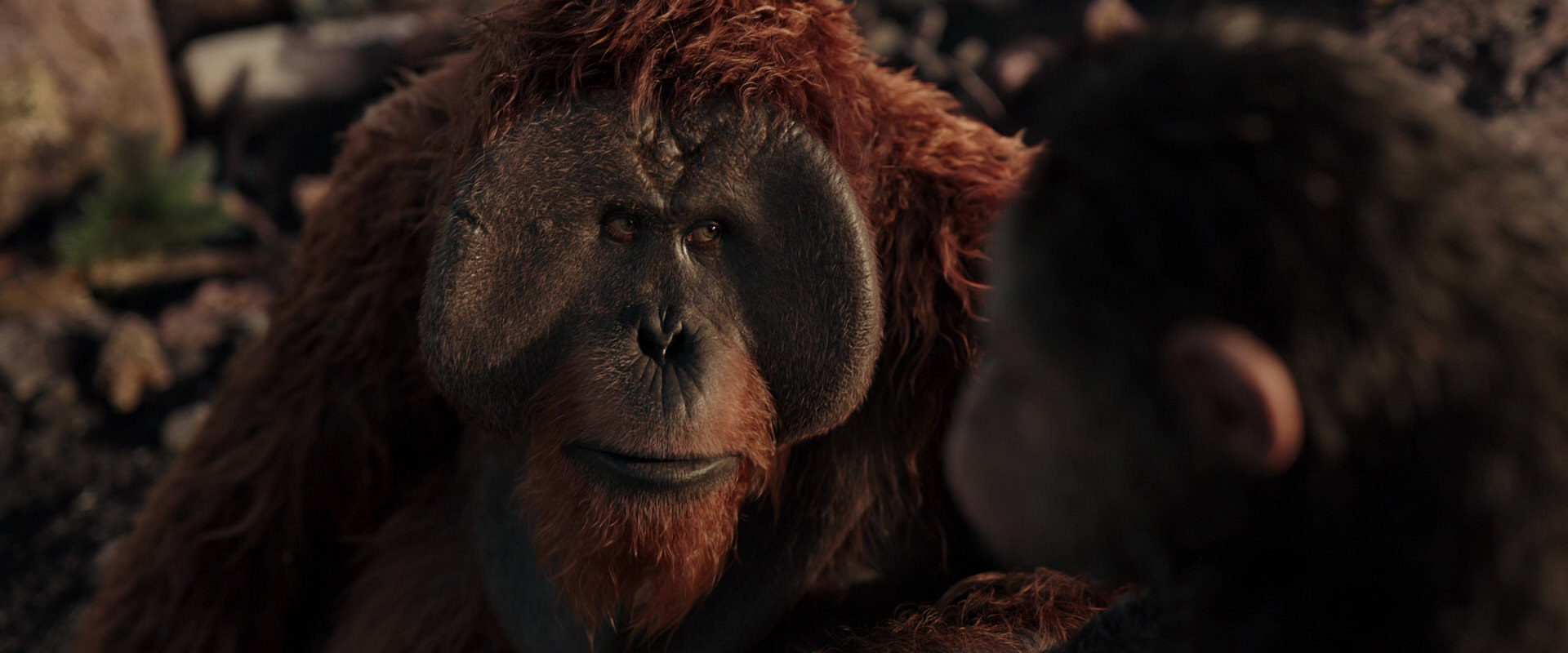 War for the Planet of the Apes (2017) movie still 15391