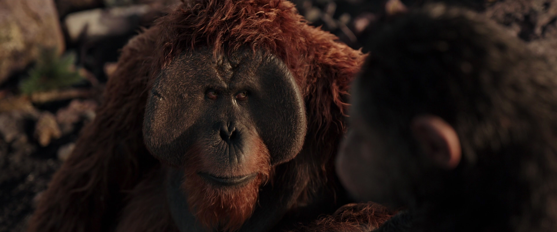 War for the Planet of the Apes (2017) HD screenshot 15392