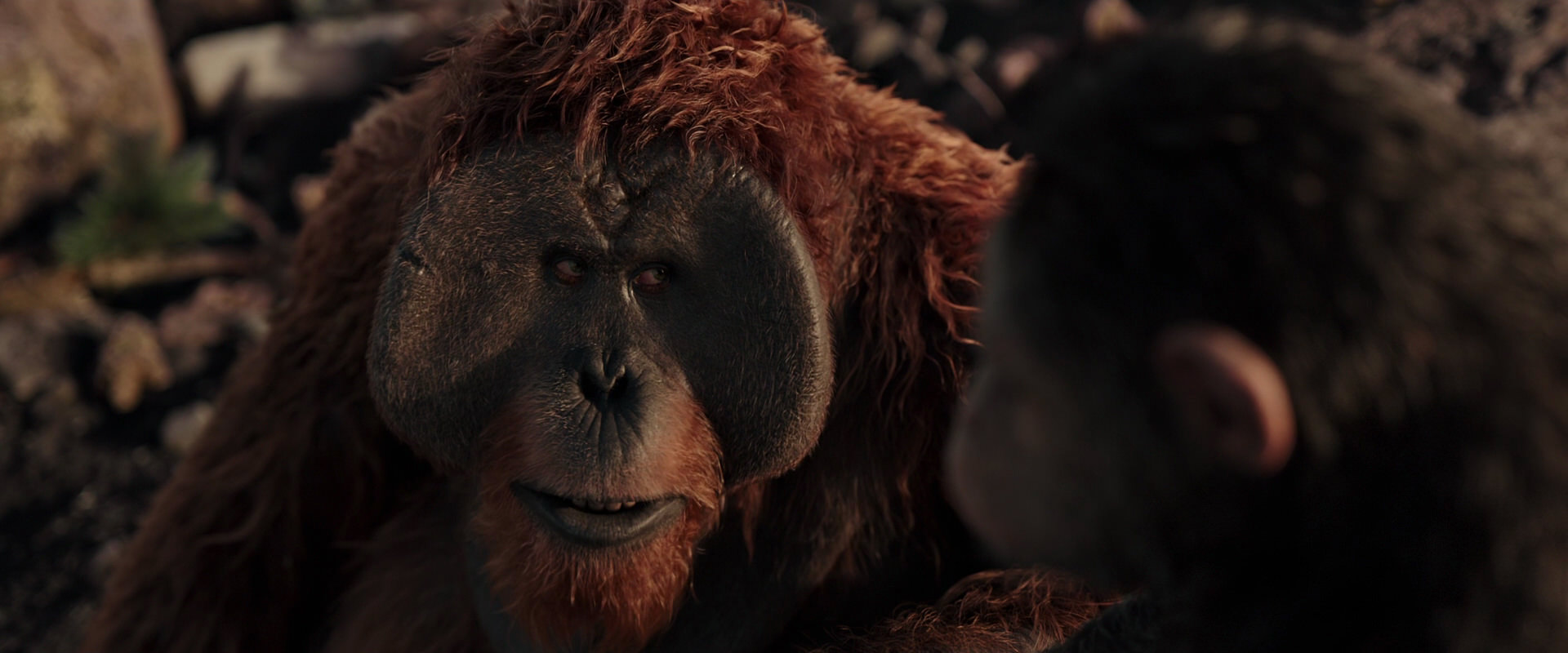 War for the Planet of the Apes (2017) screencap 15393