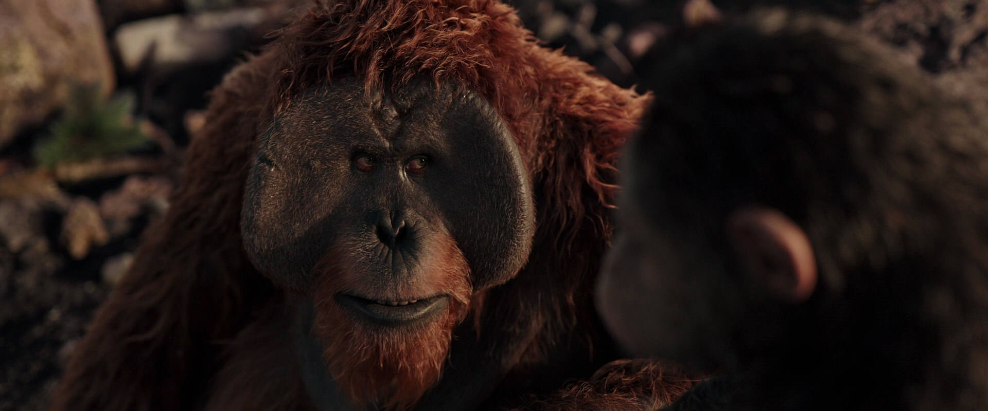 War for the Planet of the Apes (2017) movie still 15394