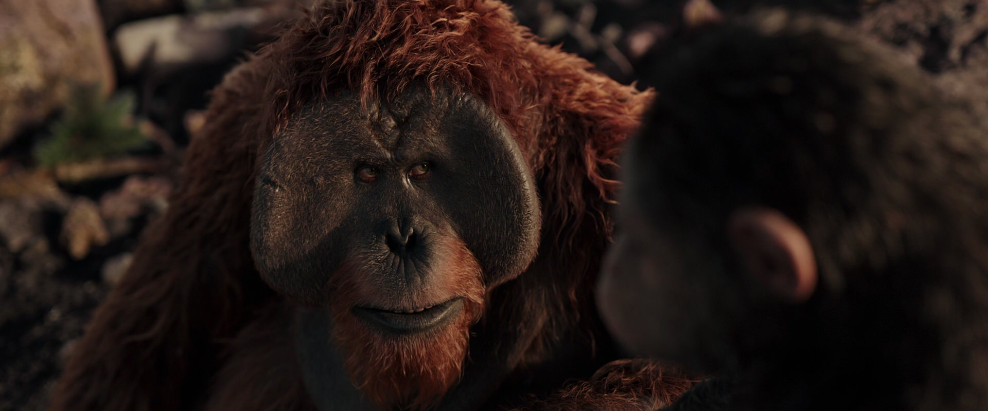 War for the Planet of the Apes (2017) HD screenshot 15395
